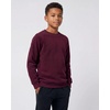image:image3 Pack Boys Fleece Crewneck Sweatshirts Pullover Sweaters Long Sleeve KidsSet 8