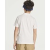 image:image3 Pack Boys Polo Shirts Short Sleeve Cotton Jersey School Uniform CollaredSet 8