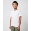 image:image5 Pack Boys Cotton T Shirts Crew Neck Plain Short Sleeve Tops Kids TeensSet 1