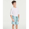 image:image3 Pack Boys Swim Trunks 2 in 1 Board Shorts Bathing Suit Liner Kids TeensSet 2