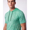 image:image3 Pack Mens Dry Fit Short Sleeve Hoodies Shirts Athletic Workout GymSet 11