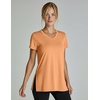 image:image5 Pack Womens Dry Fit V Neck T Shirts Workout Athletic Gym Yoga Basic TopsSet 2