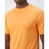 image:image4 Pack Mens Short Sleeve Rash Guard Swim Shirts Fishing Summer AthleticSet 6