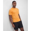 image:image4 Pack Mens Short Sleeve Rash Guard Swim Shirts Fishing Summer AthleticSet 6