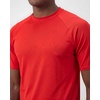 image:image4 Pack Mens Short Sleeve Rash Guard Swim Shirts Fishing Summer AthleticSet 7