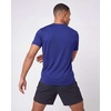 image:image5 Pack Mens Dry Fit Short Sleeve Crew T Shirts Gym Tees Athletic WorkoutSolid Black  Solid Bright White  Navy Blazer  Royal Blue  Solid Ultimate Grey
