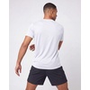 image:imageReal Essentials 5 Pack Mens Breeze Tech Crew Neck Workout TShirts MoistureWicking Athletic Gym Shirts Big and TallSet 2