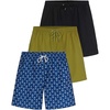 image:image3 Pack Mens Swim Trunks 7 Board Shorts Bathing Suit Mesh Lined Quick DrySet 7